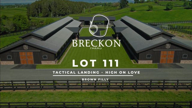 Lot 111
