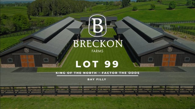 Lot 99