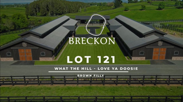 Lot 121