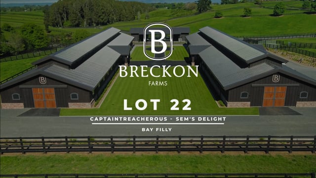 Lot 22