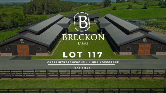 Lot 117