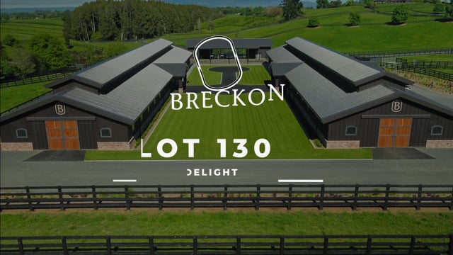 Lot 130