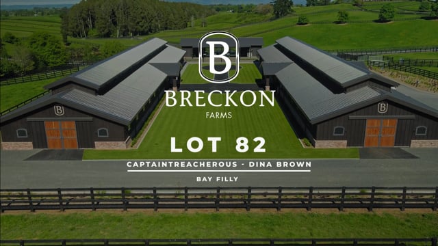 Lot 82