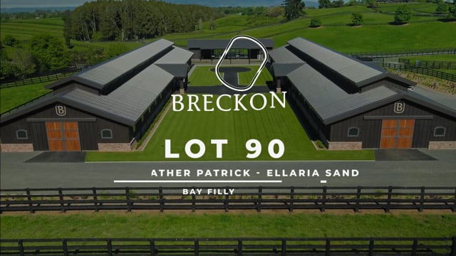 Lot 90