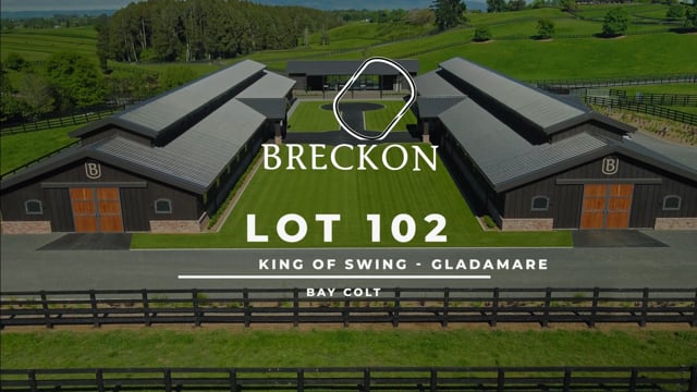 Lot 102