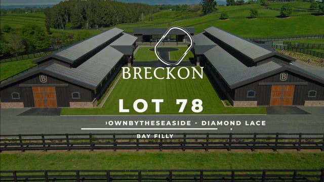 Lot 78