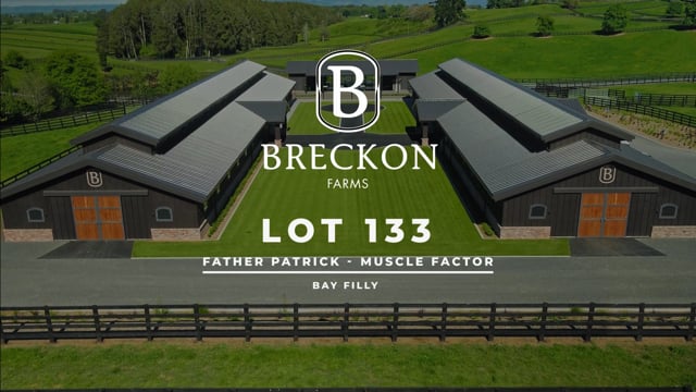Lot 133