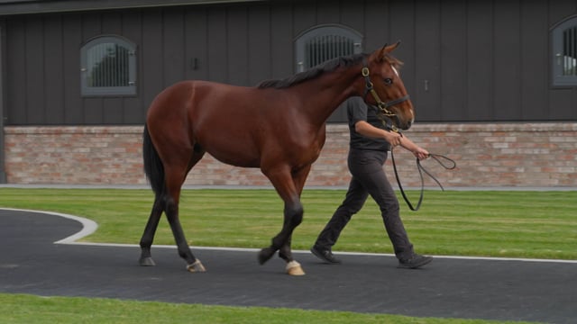 Lot 108