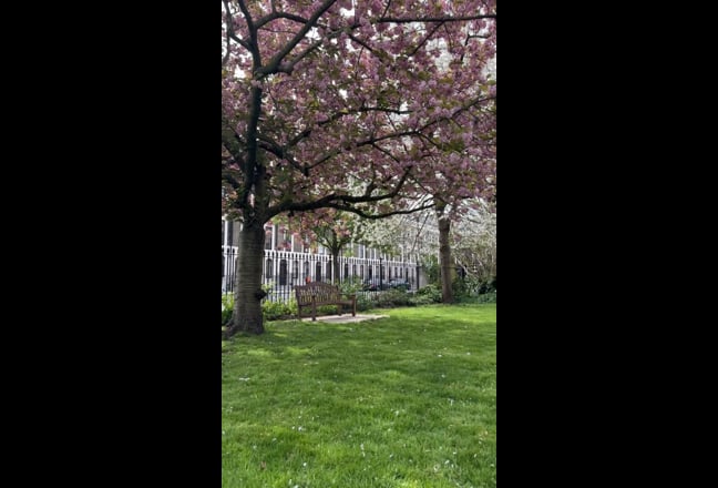 Large double bedroom / private bathroom in Zone 1 Main Photo