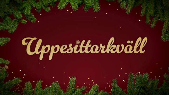 ⁣Uppesittarkväll 2025
