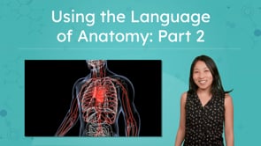 Using the Language of Anatomy: Part 2