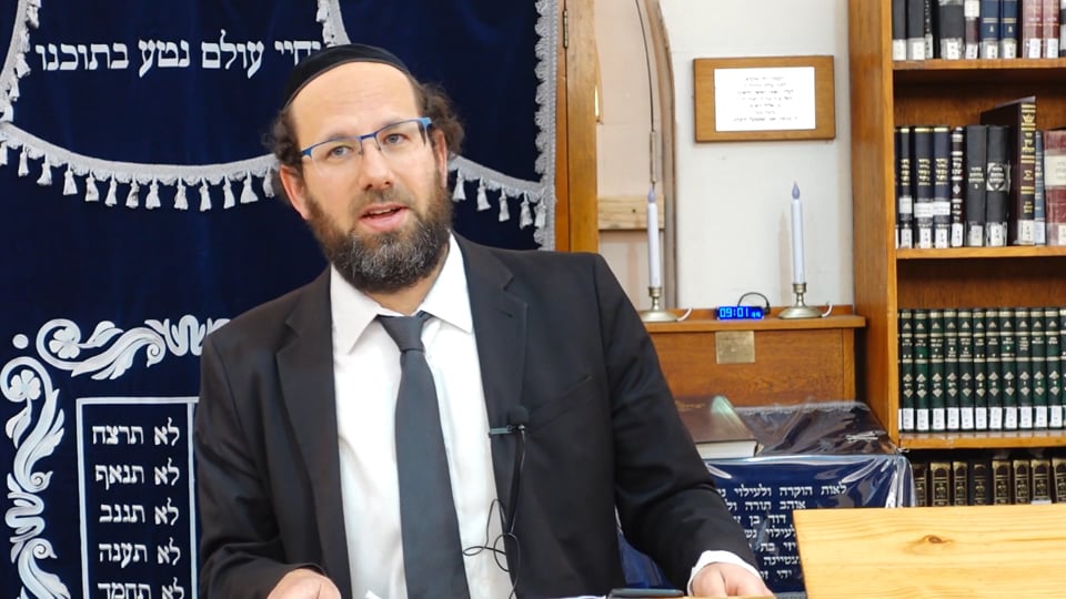 Rabbi D Cohen - Loshon Hakodesh