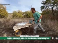 Palmoli - Famiglia nel bosco, Pro Vita contro la  perizia psichiatrica