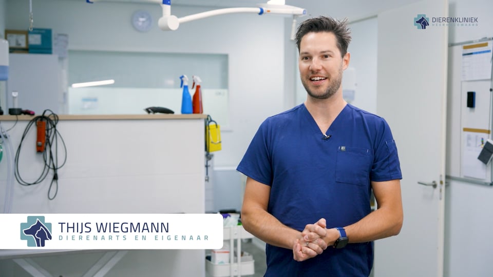 Video afspelen "Bedrijfsfilm | Dierenkliniek Heerhugowaard - Deskundige en Uitgebreide zorg (2025)"