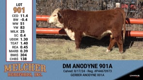 Lot #901 - DM ANODYNE 901A