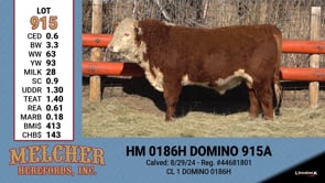 Lot #915 - HM 0186H DOMINO 915A