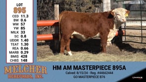 Lot #895 - HM AM MASTERPIECE 895A