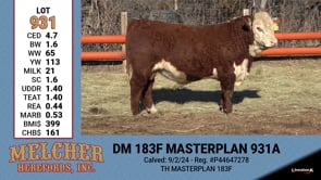 Lot #931 - DM 183F MASTERPLAN 931A