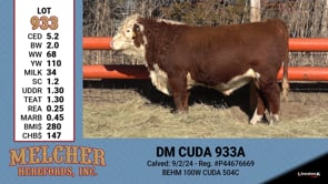 Lot #933 - DM CUDA 933A