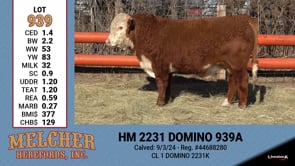 Lot #939 - HM 2231 DOMINO 939A