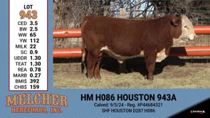 Lot #943 - HM H086 HOUSTON 943A