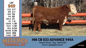 Lot #949 - HM  CB 033 ADVANCE 949A