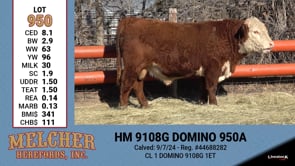 Lot #950 - HM 9108G DOMINO 950A