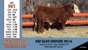 Lot #961 - KM S649 ENDURE 961A