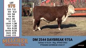 Lot #975 - DM 2544 DAYBREAK 975A