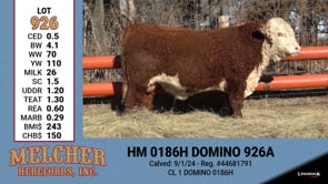 Lot #926 - HM 0186H DOMINO 926A
