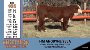 Lot #955 - HM ANODYNE 955A