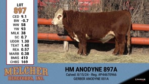 Lot #897 - HM ANODYNE 897A