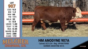 Lot #907 - HM ANODYNE 907A