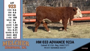 Lot #923 - HM 033 ADVANCE 923A