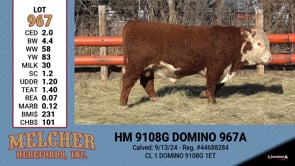 Lot #967 - HM 9108G DOMINO 967A