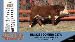 Lot #987 - HM 2231 DOMINO 987A