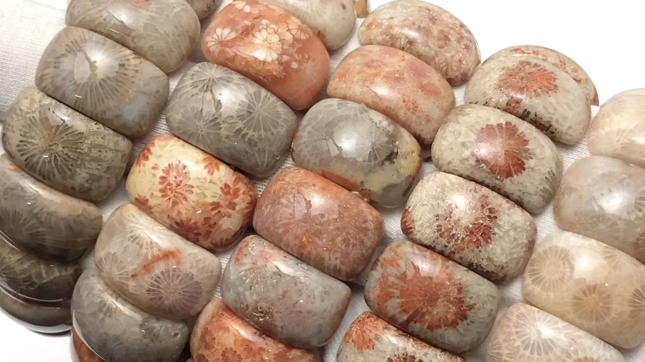 フォシルコーラル（化石珊瑚） 2つ穴オーバル20×10mm バングルブレス