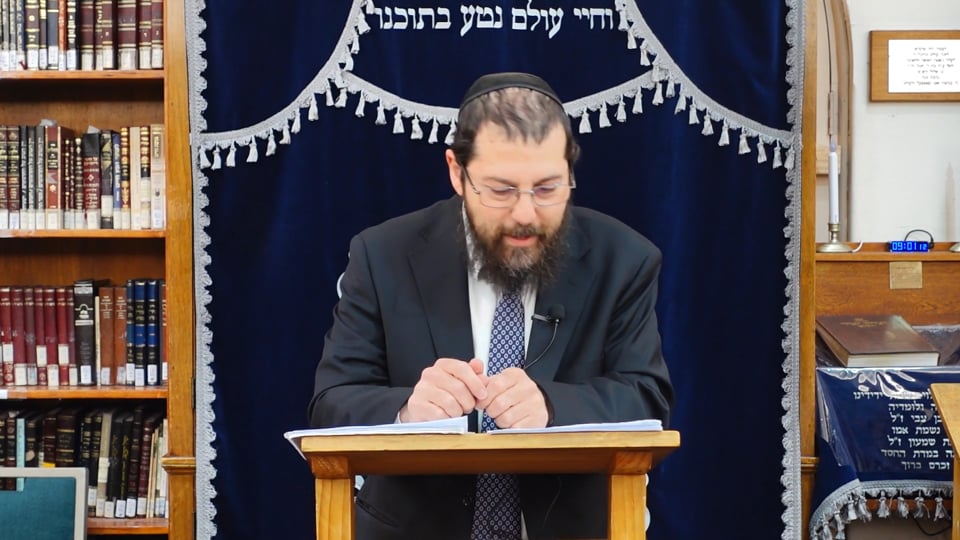 Rabbi M Berman - Wills in Halacha