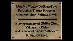 The Rebbe on the Torah