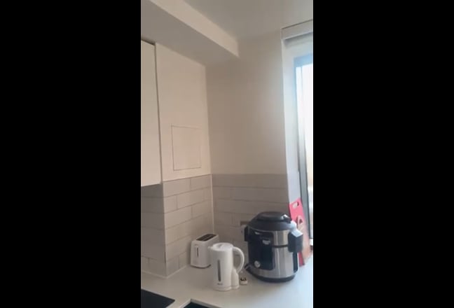 Charming Room Available at U House North Main Photo