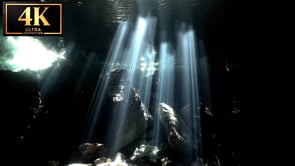Underwater Short Film - Cathedral Of Light 4K