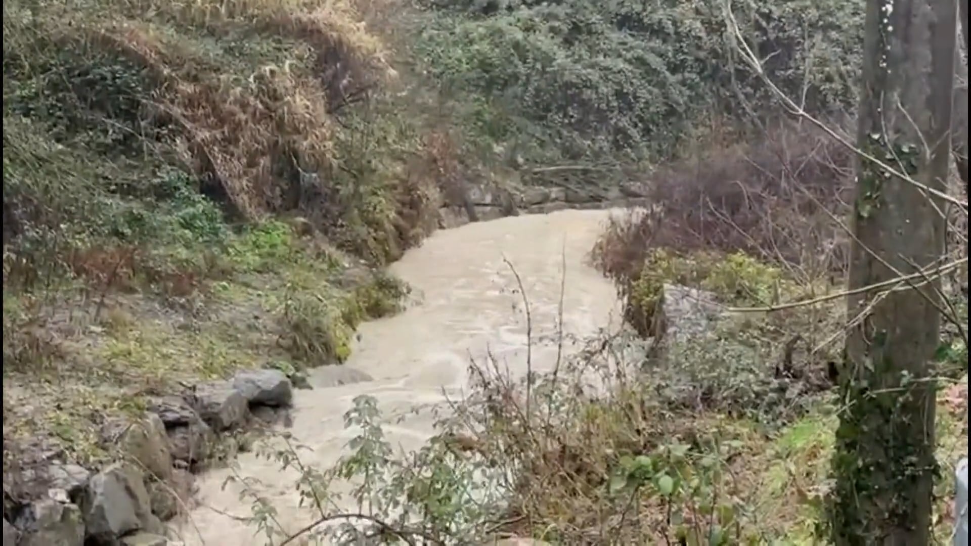 Maltempo: a Bologna allerta gialla, arancione in pianura. Attivato il nuovo Piano di Protezione Civile