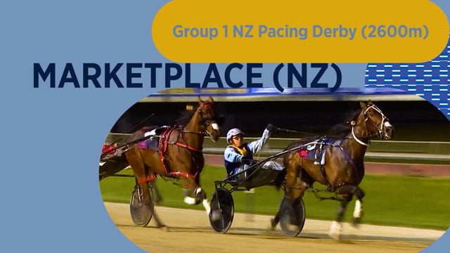 2026 National Yearling Sale | TVC