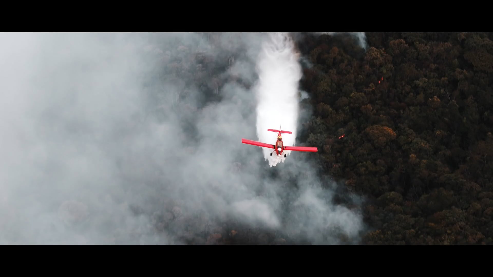 Combate Incessante (2024)