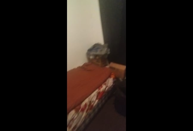 Room Available  Main Photo