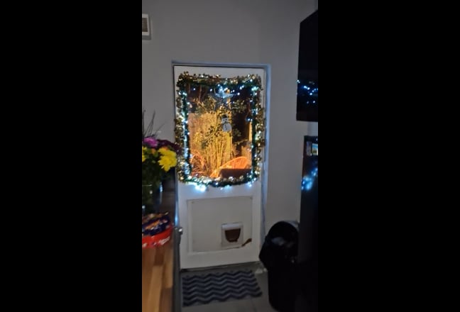 1 Double Room in Town house available 1st Feb 2026 Main Photo