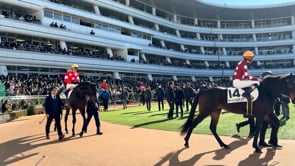 動画サムネイル