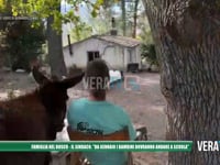 Famiglia nel bosco - Il sindaco: "Da gennaio i bambini dovranno andare a scuola"