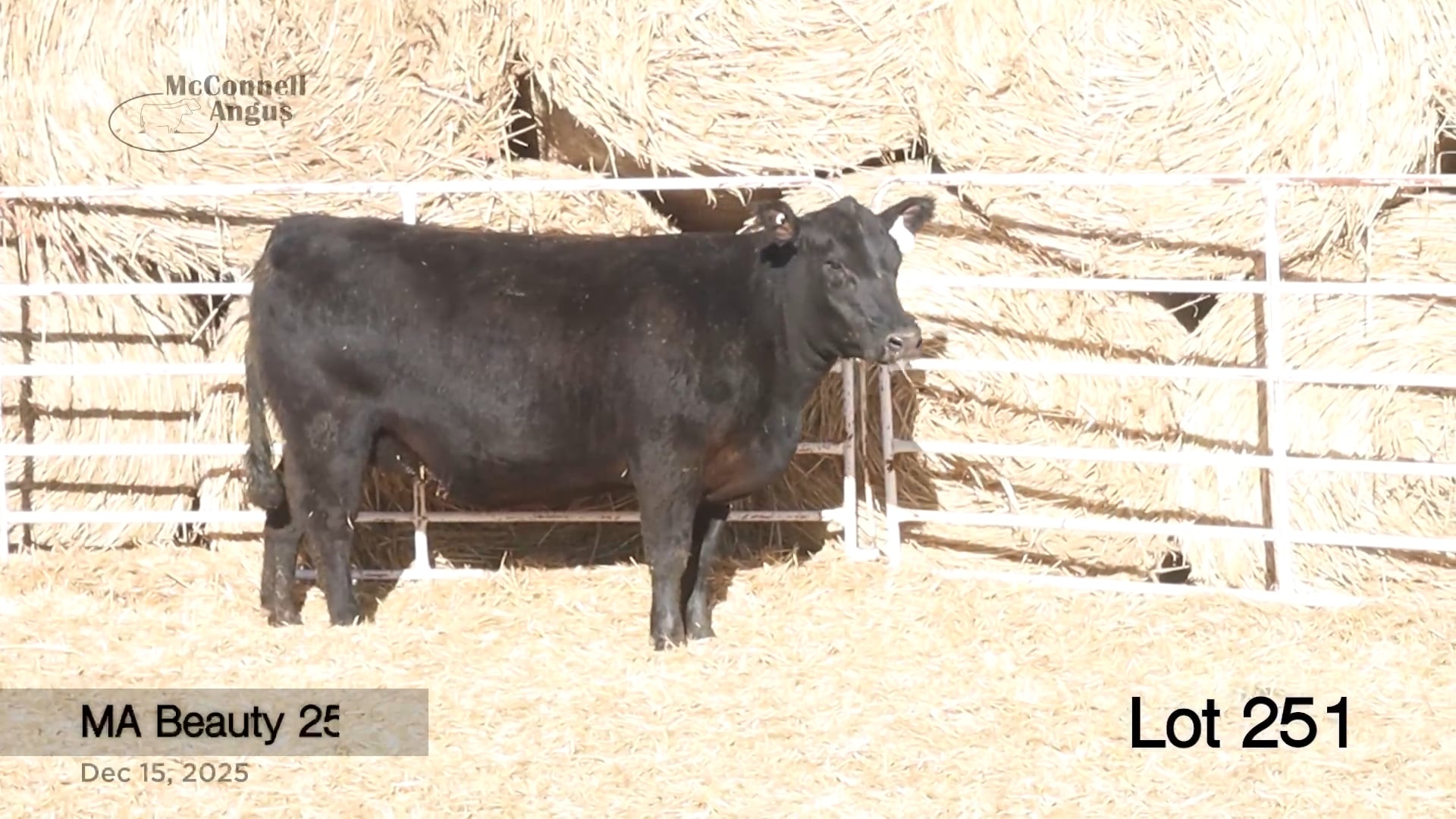 Lot 251 MA Beauty 250