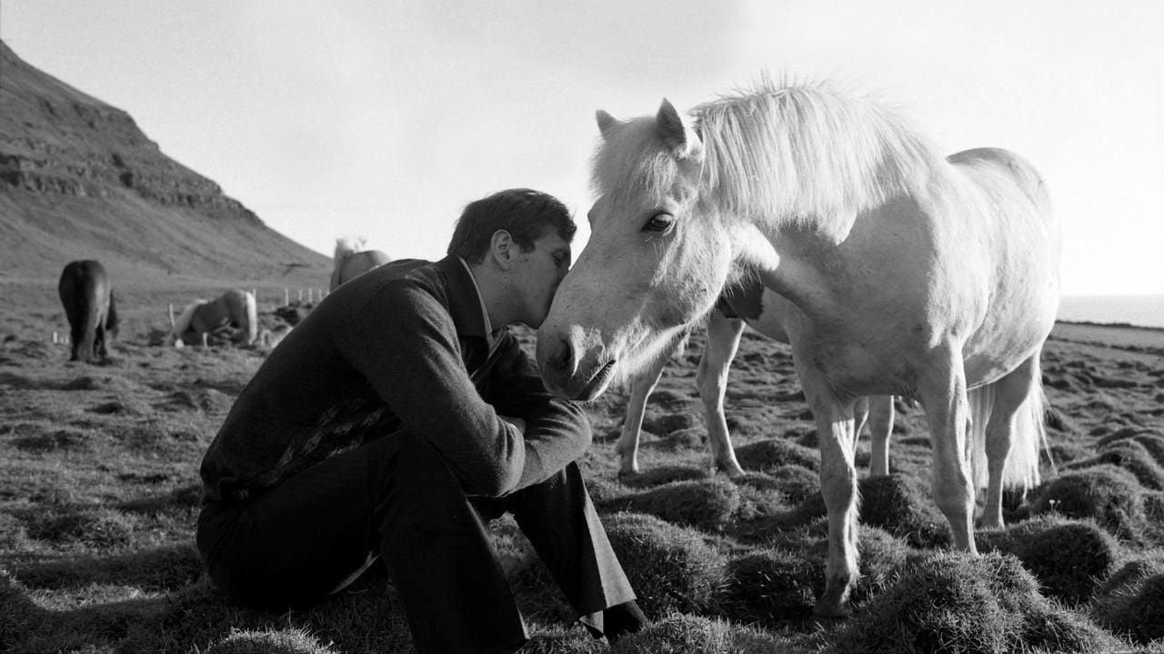 Bobby Fischer Against the World